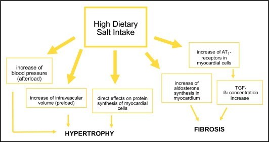 Salt Hypertension The American Journal Of Medicine Blog